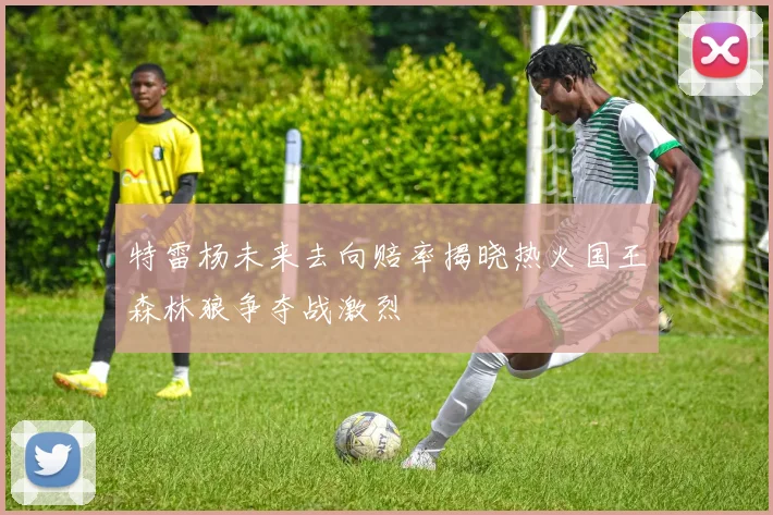 特雷杨未来去向赔率揭晓热火国王森林狼争夺战激烈